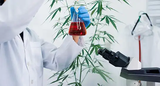 Plant Elicitors: Natural Protection Against Stress